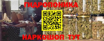 скорость Лесосибирск