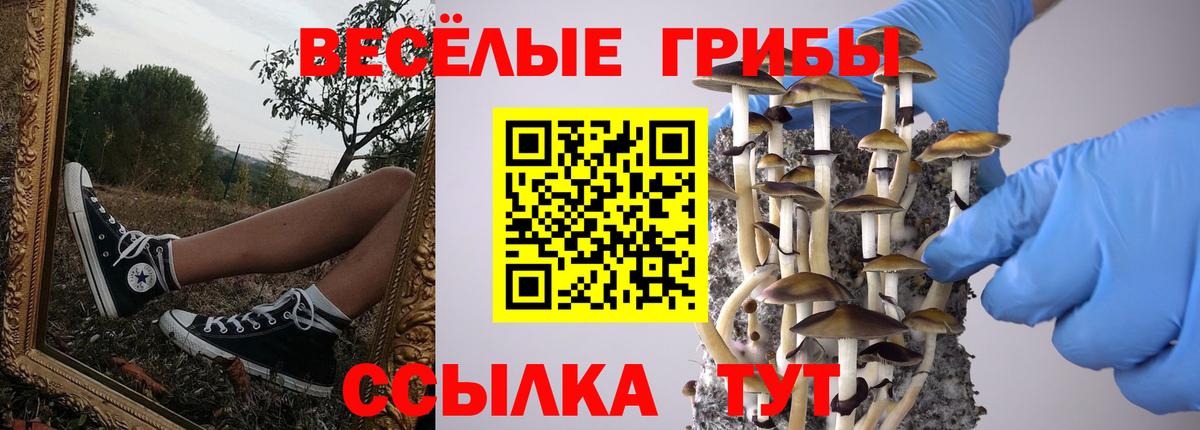 Южноуральск  Псилоцибиновые грибы мицелий  Галлюциногенные грибы Psilocybe  Вход с VPN 